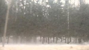 Шатура, автобус 21, участок Автостанция Дмитровский Погост - Середниково-2