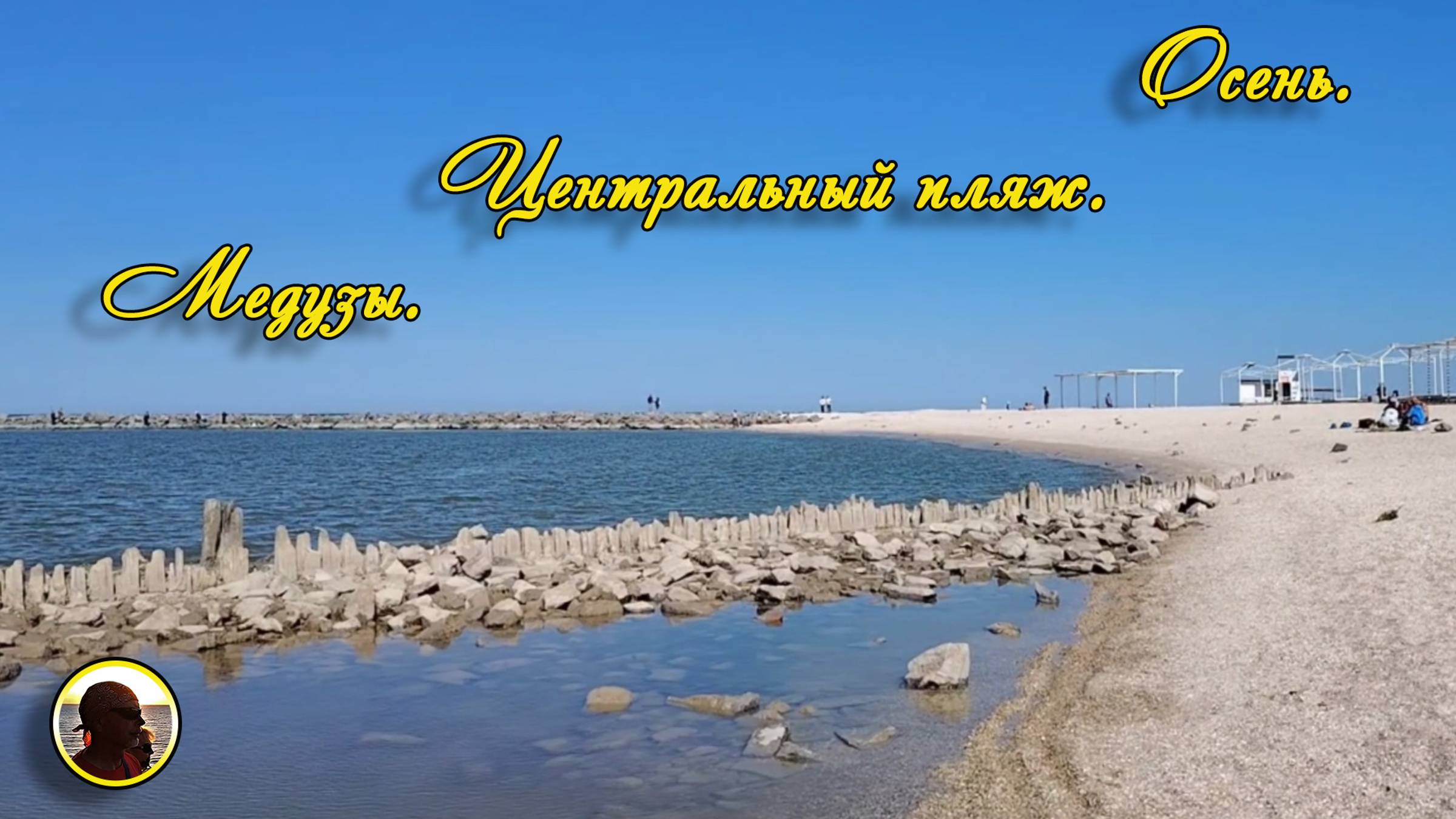 Ейск. 2024. Осень. Центральный пляж. Медузы.