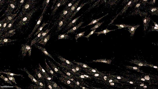 FISSEQ: Close-up to landscape смотреть онлайн