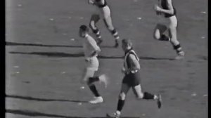 AFL 1966 Premiers - St. Kilda DVD
