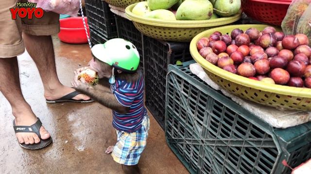 YoYo JR goes to the market