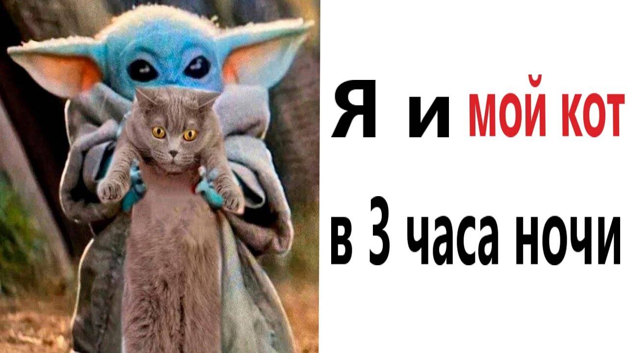 Приколы! Я И МОЙ КОТ В 3 ЧАСА НОЧИ - МЕМЫ!!! Смешные видео