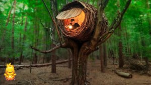 СТРОИМ теплое и уютное ГНЕЗДО | Дом НА ДЕРЕВЕ, убежище для выживания, лесная хижина