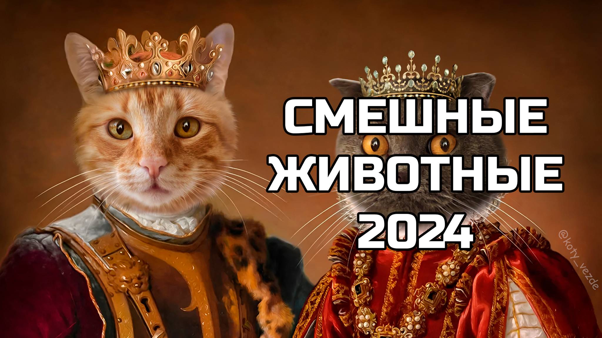 Смешные животные 2024 - попробуй не засмеяться! (№82) котики, котята
