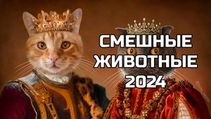 Смешные животные 2024 - попробуй не засмеяться! (№82) котики, котята
