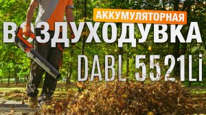 Аккумуляторная воздуходувка DAEWOO DABL 5521Li. Легкая, мобильная, экологичная