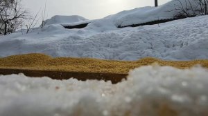 Котёночек 31032022