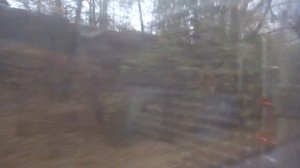 Одинцово, автобус 23, участок Макарово - Красная Звёздочка