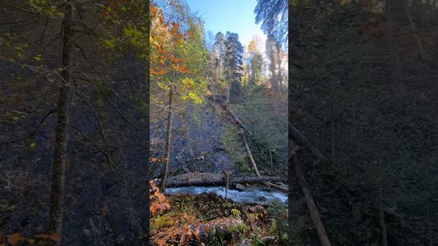 Водопады Менделиха в Красной поляне 😍 смотреть онлайн