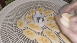 Банановые фрипсы/ сушка бананов