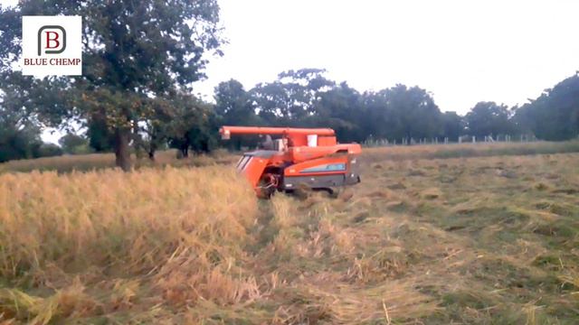 Kubota SR40 combine harvester I Mini combine harvester I Rice harvester I Paddy harvester