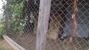 Пермь-Никольское рыбалка, отдых, туризм