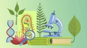 Биология 9 класс. Саморазвитие экосистемы. --