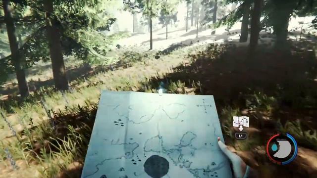 The Forest Boar Spawn Locations Updated