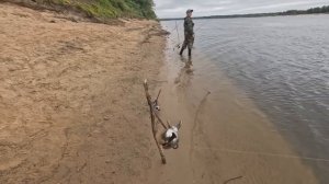 Рыбалка на Оке! ПОХОЛОДАЛО И РЫБА ПОШЛА! Лещ, окунь на живца!