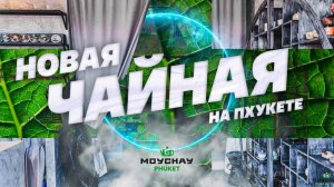 Новая чайная на Пхукете! Предоткрытие. Навестили наш чайный лес и завод в Тайланде.