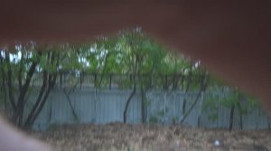 Наш старый телефонный прикол)))))))