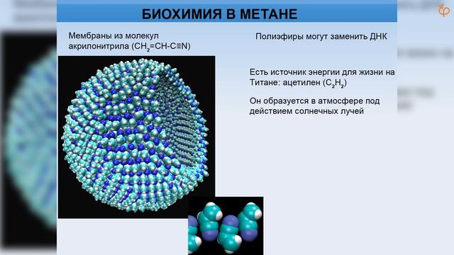 «Альтернативная биохимия» / Михаил Никитин смотреть онлайн