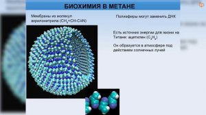 «Альтернативная биохимия» / Михаил Никитин