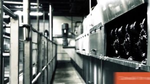Fessmann TF 4000 сосиски весь производственный процесс
