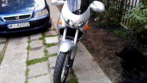 Aprilia Pegaso 650 Cube Garda 1999 with Marving exhaust system