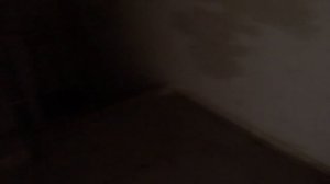 Грузопассажирский, пассажирский лифт (посёлок Дубовая Роща), V=1 м-с, г-п 400, 630 кг