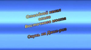 Рыбалка на Отводном канале. 25.09.2024