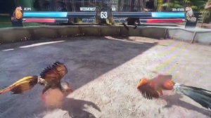 Петушиные бои