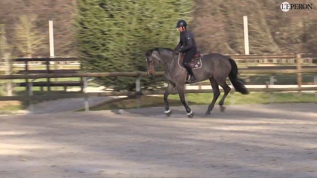 En pratique avec Frédéric Lagrange #4 | S'affuter pour les épreuves de vitesse смотреть онлайн