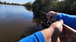 этот КРЭНК просто косит рыбу! Спиннинг на реке в сентябре.