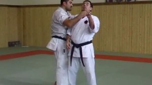 I.O.G.K.F.-RUSSIA Seminar in "Gakumon Dojo"(www.club-edinoborstv.ru) "What is this - Goju ryu"