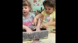 Сайфутдинова Эвелина Артуровна