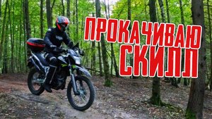 В лесу осваиваю новые неровности