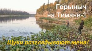 Экспедиция на Тиман-2. Тащу одну - две щуки смотрят. ТАКОГО не мог и вообразить.