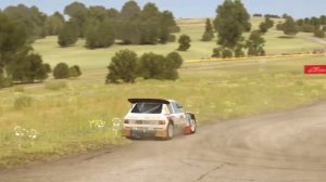 DiRT Rally