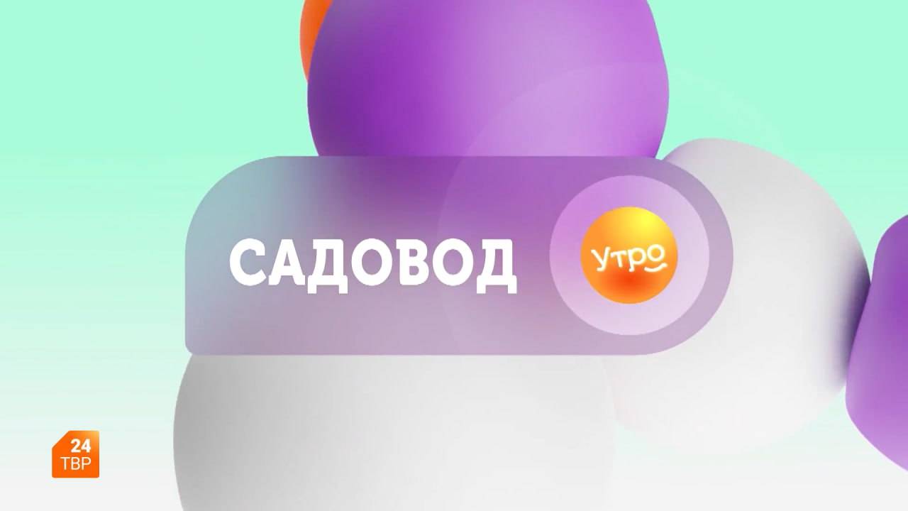 Садовод. Можжевельник