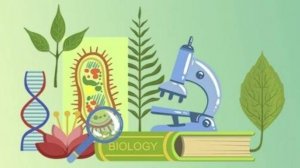 Биология 9 класс. Сцепленное наследование признаков.--