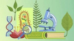 Биология 9 класс. Круговорот веществ в биосфере.--