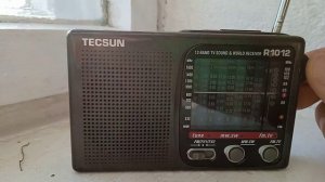 tecsun r1012