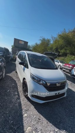 Honda Freed+ 2023 года - свежий, эргономичный, выгодный автомобиль🔝