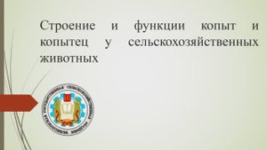 Строение и функции копытец.