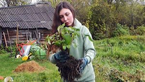 🏡 ДОМ В ДЕРЕВНЕ: НЕ ДЕЛАЙ ЭТИХ ОШИБОК! МЫ ТОЖЕ ЭТОГО НЕ ЗНАЛИ