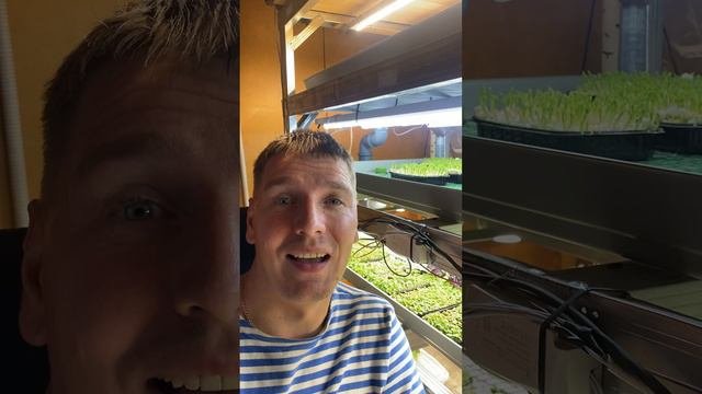 А вы как думаете?