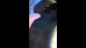 Последствия удара по Днепровской ГЭС имени В. И. Ленина. 2024 год.