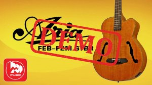 Электроакустический бас ARIA FEB F2M - демонстрация звучания