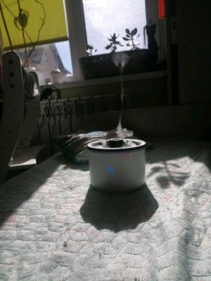 Омагат поко кысики 💀💀💀