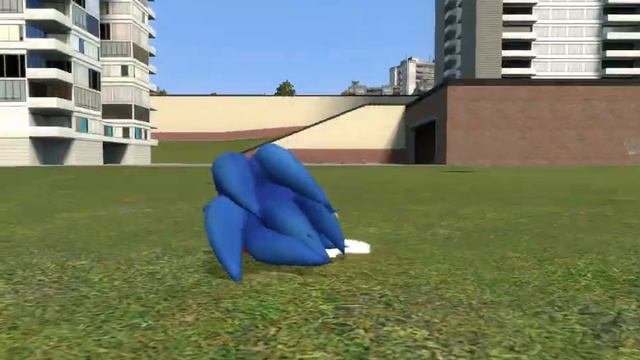 Garry.s Mod.#1