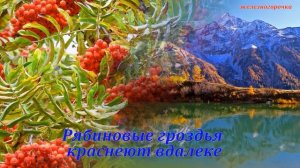 Доброе утро. Хорошего дня