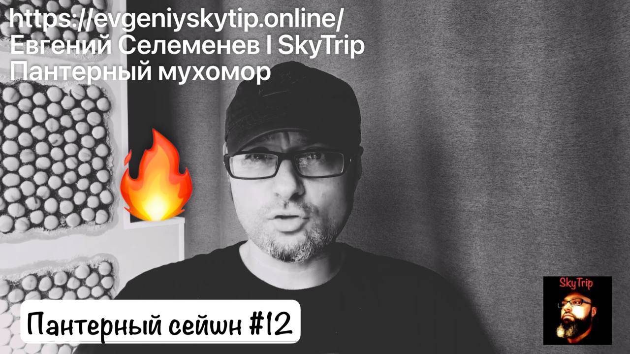 Пантерный мухомор I Пантерный сейшн #12 I SkyTrip