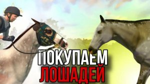 ВОЗВРАЩАЕМ ПРОДАННЫХ ЛОШАДЕЙ II Прохождение Rival Stars